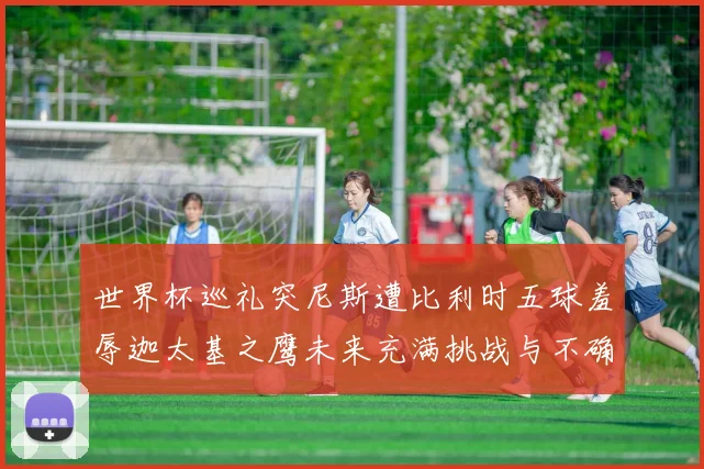世界杯巡礼突尼斯遭比利时五球羞辱迦太基之鹰未来充满挑战与不确定性