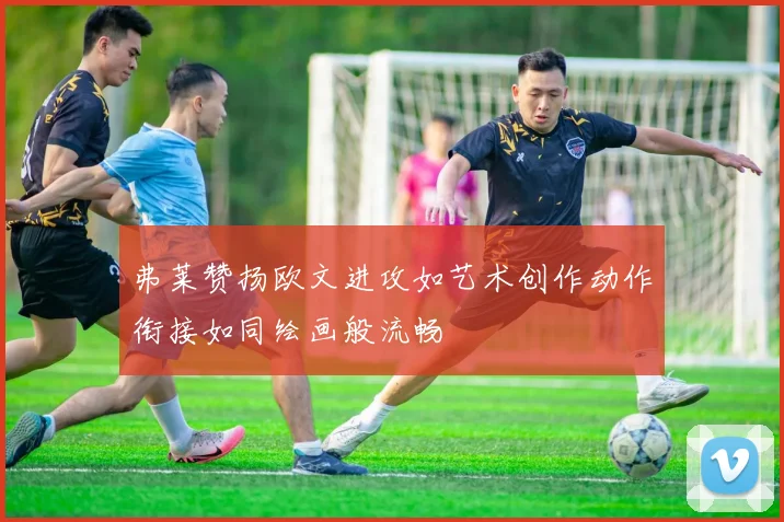 弗莱赞扬欧文进攻如艺术创作动作衔接如同绘画般流畅