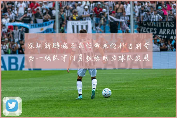 深圳新鹏城正式任命米伦科吉利奇为一线队守门员教练助力球队发展